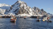 Utror i Svolvær