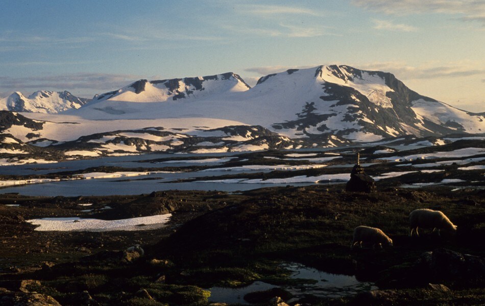 Fannaråken