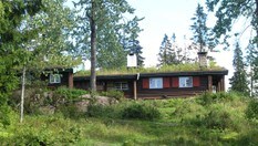 Mustadkroken