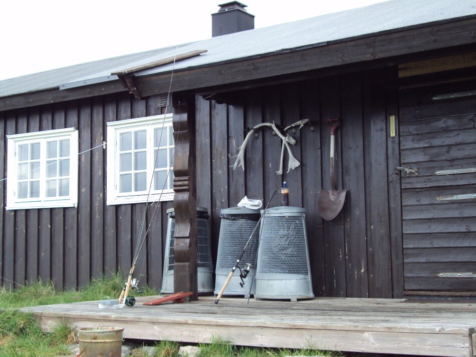 Rembesdalseter 5. juli 2010