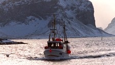 Lofotfiske ved Røst (Foto: Roald, Berit/SCANPIX)