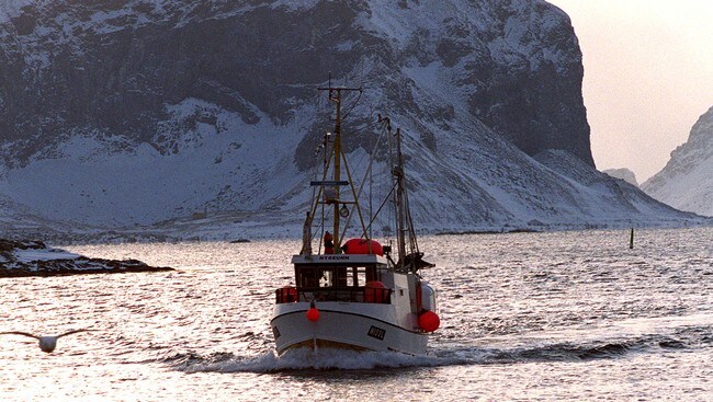 Lofotfiske ved Røst (Foto: Roald, Berit/SCANPIX) Lofotfiske ved Røst (Foto: Roald, Berit/SCANPIX)