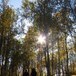 På vei til Nonsbu hytte gjennom skogen i full høstfarger, 9 september 2010.