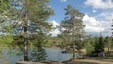 Damtjønna