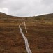På langtur over til svensk side av Femundsmarka