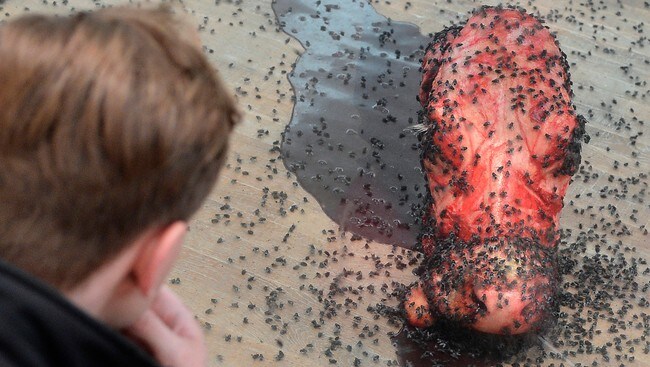 A Thousand Years av den britiske artisten Damien Hirst (Foto: TOBY MELVILLE/Reuters) A Thousand Years av den britiske artisten Damien Hirst (Foto: TOBY MELVILLE/Reuters)