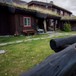 Sota sæter
