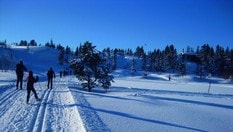 På vei til Elgsethytta
