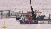 Lerøy Hydrotech (Foto: Roar Halten/NRK)