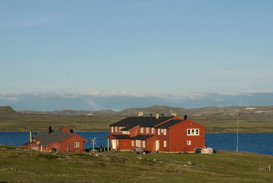 Rauhelleren