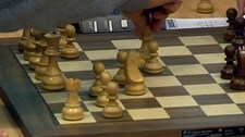 Sjakk (NRK)
