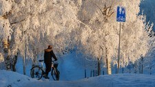 Vinter på Tyholt i Trondheim (Foto: Lars Erik Skjærseth/NRK) Vinter på Tyholt i Trondheim (Foto: Lars Erik Skjærseth/NRK)