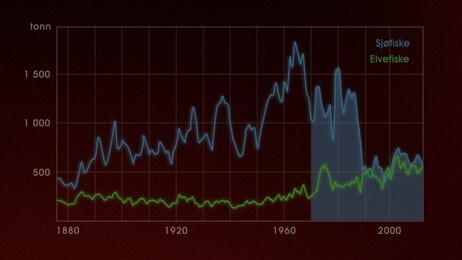 Statistikk for laksefiske 1990 - 2010.  (Foto: Illustrasjon basert på tall fra SSB og graf fra Direktoratet for naturforvaltning/NRK)