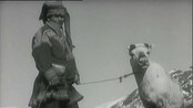 Sami paranoijja, satneduodji Anne Merete Gaup -  : Sami paranoijja, satneduodji Anne Merete Gaup