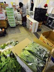 Grønnsaker innhøstet i Fukushima-prefekturet har blitt trukket tilbake fra butikkene (Foto: Kyodo News/Ap) Grønnsaker innhøstet i Fukushima-prefekturet har blitt trukket tilbake fra butikkene (Foto: Kyodo News/Ap)