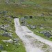 Rallarvegen