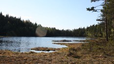 Langvannet nedenfor Bergersætra