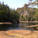 Svarttjenn, på vei opp mot Hørsfjellet (288 moh) i Bamble i Telemark.