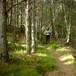 Stien ut går delvis gjennom skog (mai03).
