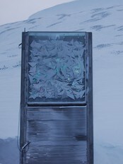 Svalbard Globale frøhvelv (Foto: Bernt Olsen/NRK) Svalbard Globale frøhvelv (Foto: Bernt Olsen/NRK)
