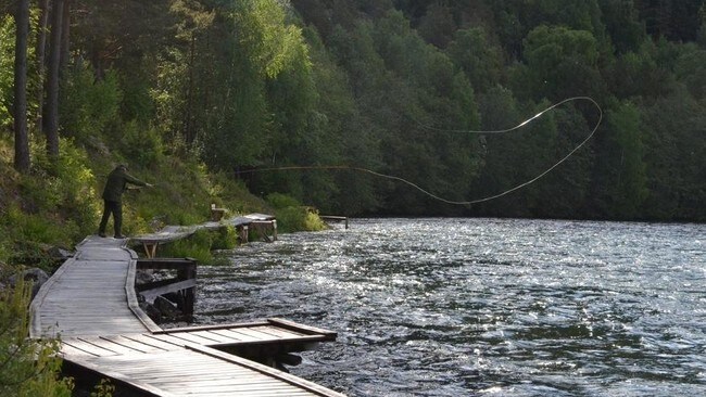 Her er Kongen i 'Teddy-pool'. (Foto: Privat) Her er Kongen i 'Teddy-pool'. (Foto: Privat)