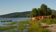 Leksdalsvatnet
