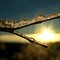 Feel the warmth of the late winter.