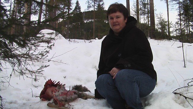 Eva Østvold (Foto: Gunnar Grimstveit/NRK) Eva Østvold (Foto: Gunnar Grimstveit/NRK)