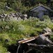 Seter ved Jøldalshytta