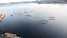 Anlegg Marine Harvest Indre Skjervøya (Foto: Marine Harvest) Anlegg Marine Harvest Indre Skjervøya (Foto: Marine Harvest)