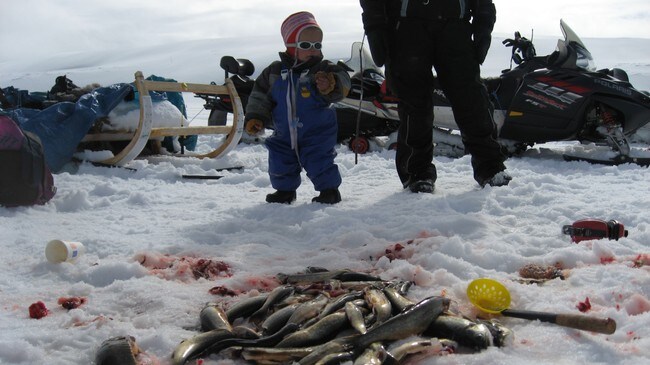 Isfiske (Foto: Hans Børge Hartvigsen/NRK)