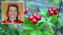 Deler lokal kunnskap (Foto: Marit Mikkelsdatter Eira Murud/Čálliid Lágádus) Deler lokal kunnskap (Foto: Marit Mikkelsdatter Eira Murud/Čálliid Lágádus)