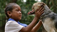 Hunden «Kabang» uten snute (Foto: Anton Mari H. Lim/Ap) Hunden «Kabang» uten snute (Foto: Anton Mari H. Lim/Ap)
