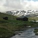 Ramsjøhytta