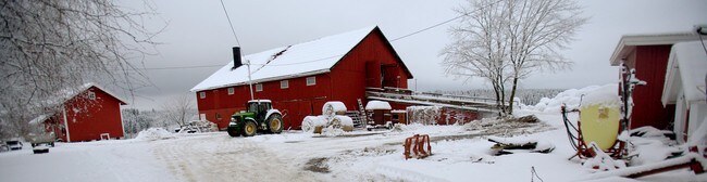 Fugleinfluensa på en gård i Trøgstad. (Foto: Solum, Stian Lysberg/SCANPIX) Fugleinfluensa på en gård i Trøgstad. (Foto: Solum, Stian Lysberg/SCANPIX)