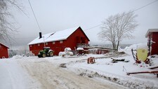 Fugleinfluensa på en gård i Trøgstad. (Foto: Solum, Stian Lysberg/SCANPIX)