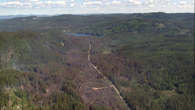 Skogbrannområde Stange (Foto: Trond Berg/NRK) Skogbrannområde Stange (Foto: Trond Berg/NRK)