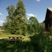 Røyrivannskoia