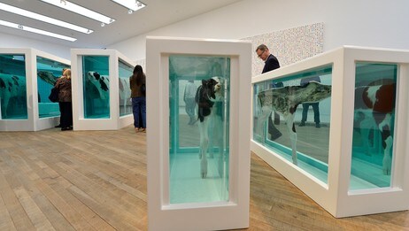 BRITAIN/ Visitors view 'Mother and Child Divided', a bisected cow and calf by British artist Damien Hirst at the Tate Modern gallery in London (Foto: TOBY MELVILLE/Reuters) BRITAIN/ Visitors view 'Mother and Child Divided', a bisected cow and calf by British artist Damien Hirst at the Tate Modern gallery in London (Foto: TOBY MELVILLE/Reuters)