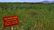 Agent Orange (Foto: HOANG DINH NAM/Afp) Agent Orange (Foto: HOANG DINH NAM/Afp)