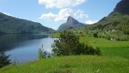Dalsfjorden (Foto: Rune Jansson) Dalsfjorden (Foto: Rune Jansson)