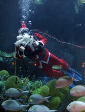 juleferie (Scanpix/AFP)