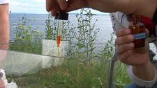 noen dråper bromtymolblått i vannet (NRK)