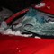 En kvinne satt i bilen sammen med mannen som omkom. Hun kom fra ulykken uten fysiske skader, ifølge politiet.