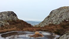 Stokkvola
