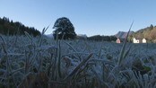 Frå haust til vinter - Somme plassar er hausten i ferd med å gå over til vinter. Bli med kollega Jannicke Farstad å fange hauststemningar...
