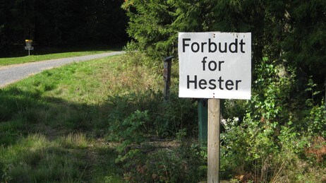 Forbudt for hester (Foto: Sven Håkon Kulbeck/NRK) Forbudt for hester (Foto: Sven Håkon Kulbeck/NRK)