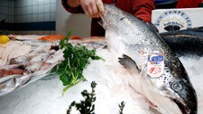 Norsk laks på fiskemarket (Foto: Colourbox.no)