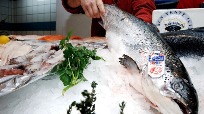 Norsk laks på fiskemarket (Foto: Colourbox.no)
