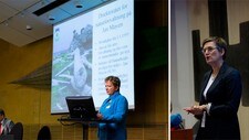 Klif og DN slås sammen (Scanpix) Klif og DN slås sammen (Scanpix)